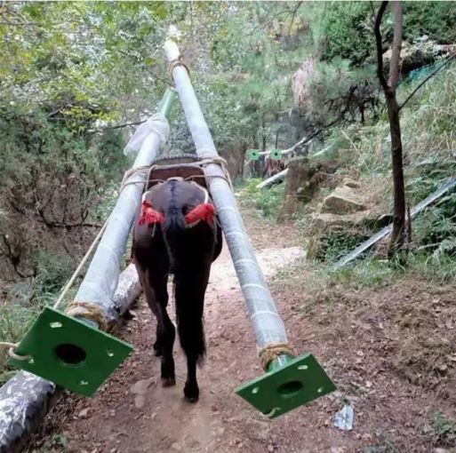 宜春骡马运输队